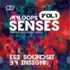 Senses Volume 1 (ES2 Soundset by Insight)
