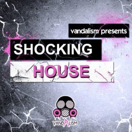 Shocking House By Vandalism