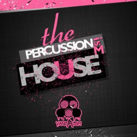 Percussionism House By Vandalism