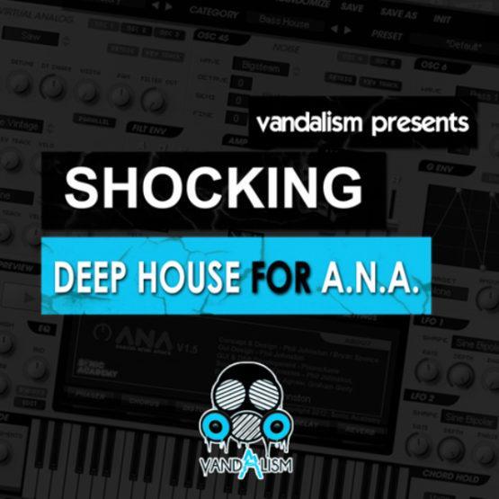 Shocking Deep House For ANA By Vandalism