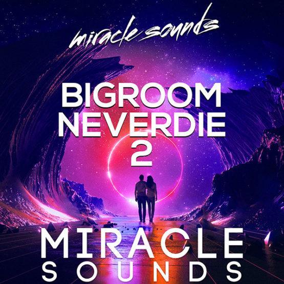 MS043 Miracle Sounds - BIGROOM NEVERDIE 2