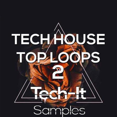 tech-it-samples-tech-house-top-loops-2