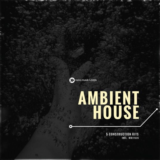 Ambient House 1 Ambient House