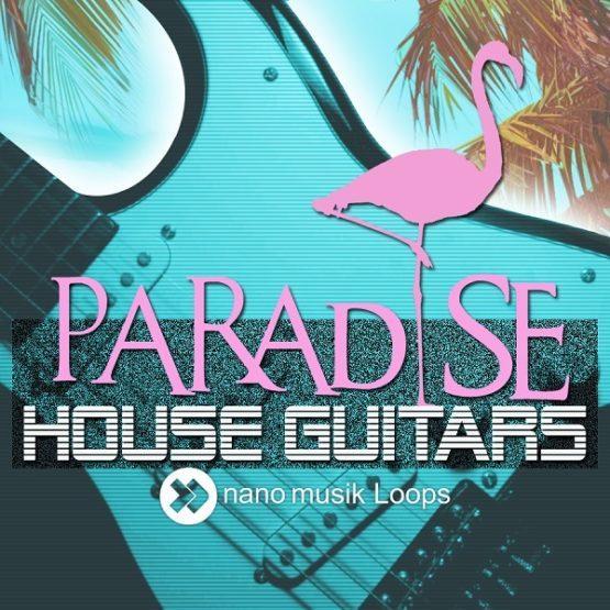 Paradise House Guitars