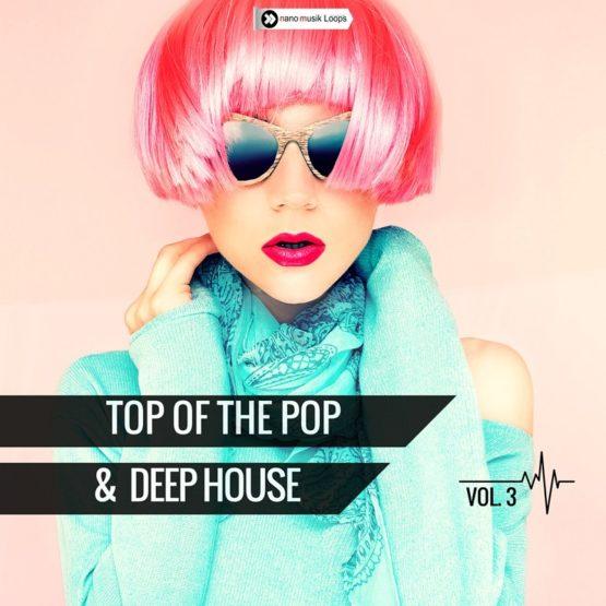 Top Of The Pop & Deep House Vol 3