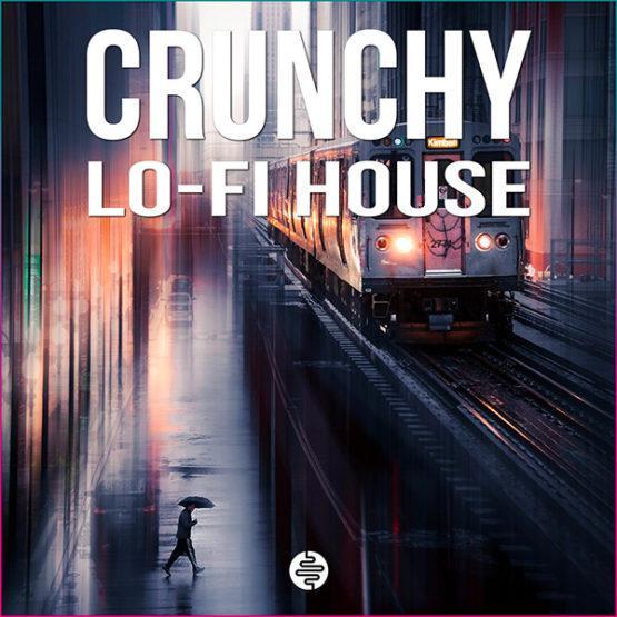crunchy-lo-fi-house-sample-pack-ost-audio crunchy-lo-fi-house-sample-pack-ost-audio