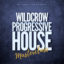 Ultimate Guide to Progressive House Track Structure and Flow - Myloops