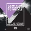 adam-ellis-extended-tutorial-12-detailed-feedback-and-rework