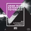 adam-ellis-extended-tutorial-19-automation-filtering