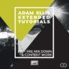adam-ellis-extended-tutorial-22-pre-mix-down-content-work