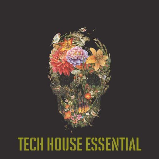 Tech House Essential Sample Pack by Skull Label