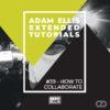 adam-ellis-extended-tutorial-39-how-to-collaborate
