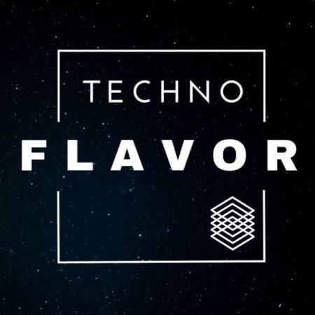 Techno Flavor Sample Pack D-Fused Sounds