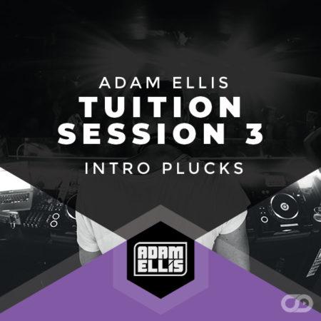 adam-ellis-tuition-session-3-intro-plucks