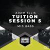 adam-ellis-tuition-session-5-mid-bass