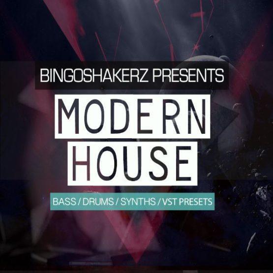 Modern House By Bingoshakerz