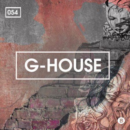 G-House (By Bingoshakerz) Sample Pack