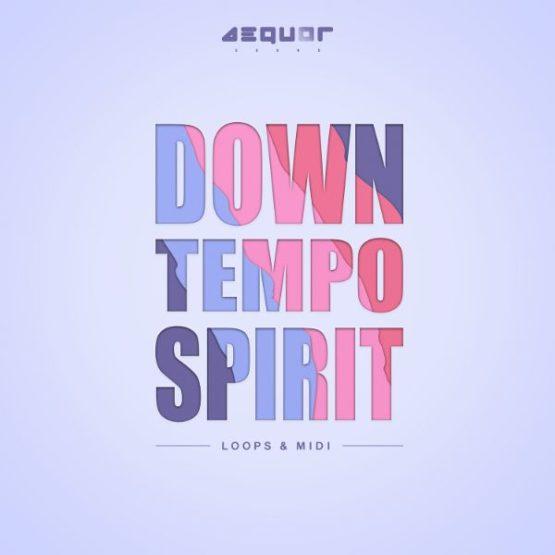 ASSL031_Downtempo Spirit_600