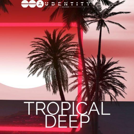 Audentity Records - Tropical Deep