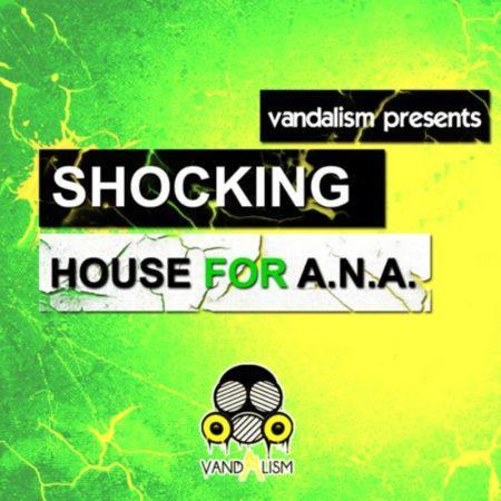 Shocking House For ANA By Vandalism