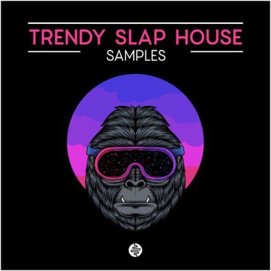 Trendy Slap House By OST Audio