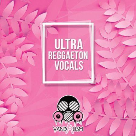 Ultra Reggaeton Vocals By Vandalism