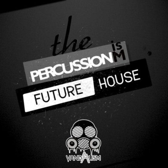 Percussionism Future House By Vandalism