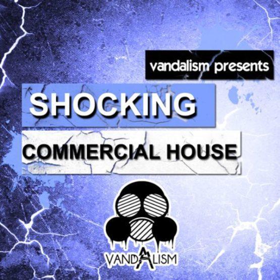 Shocking Commercial House By Vandalism