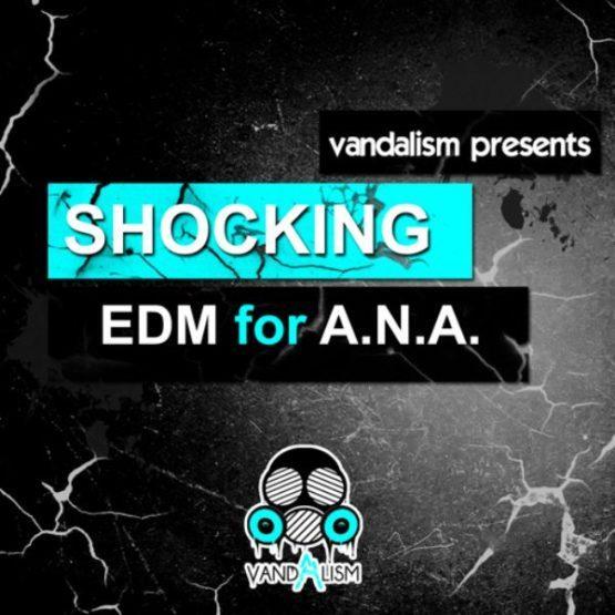 Shocking EDM For A.N.A. by Vandalism