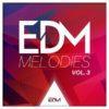EDM Melodies Vol 3 By Essential Audio Media