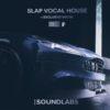 Slap Vocal House (Ableton & FL Studio) - Alok Style By Soundlabs