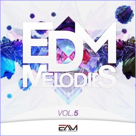 edm-melodies-vol-5-by-essential-audio-media