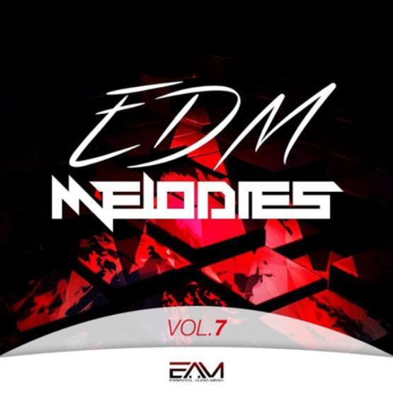edm-melodies-vol-7-by-essential-audio-media