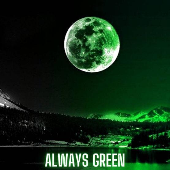 Always Green - Progressive Trance FL Studio Template by Pourya Feredi
