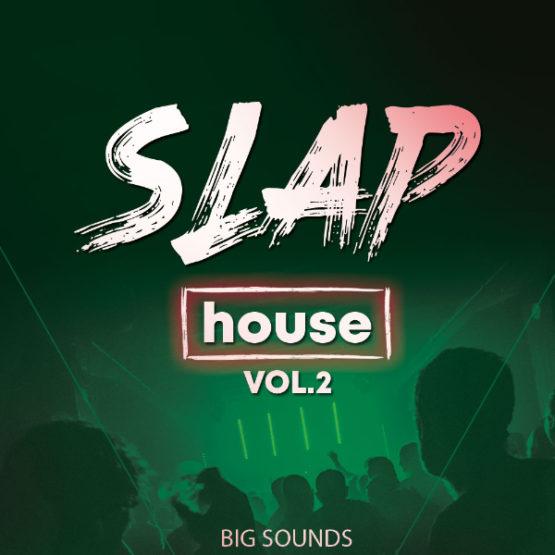 Big Sounds Slap House Vol.2 By HighLife Samples