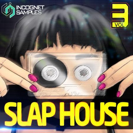 Incognet - Slap House Vol.3_Pic