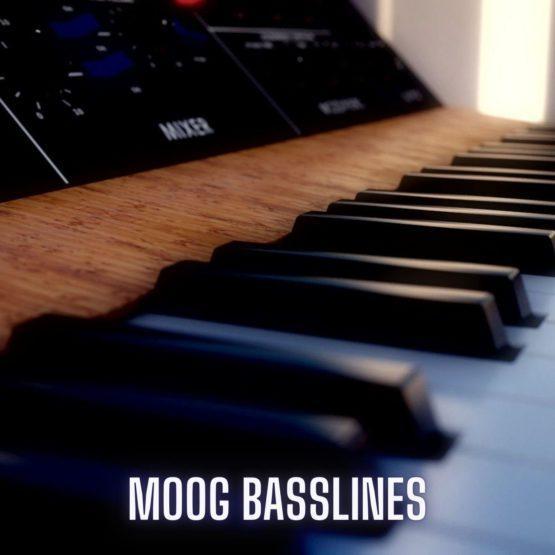 Moog Basslines by Steven Angel