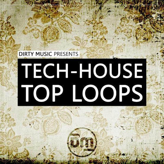 DMS003 Dirty Music - Tech-House Top Loops