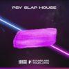 Soundlabs Psy Slap House 2021 Template FL Studio & Ableton