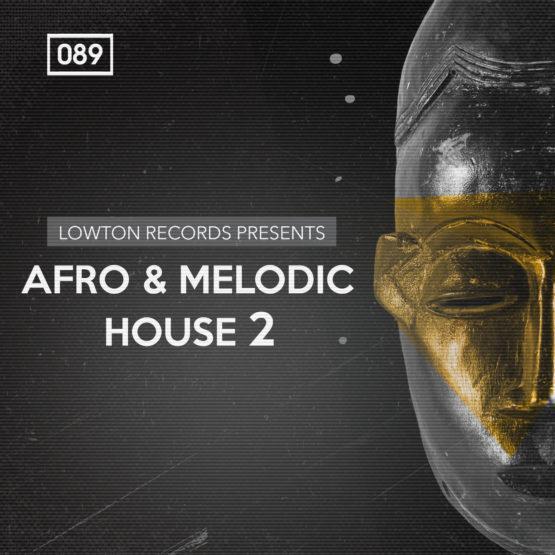 Afro & Melodic House 2 by Lowton Records