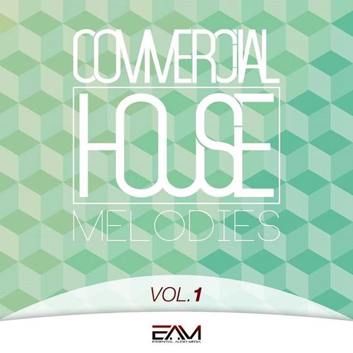Commercial House Melodies Vol 1