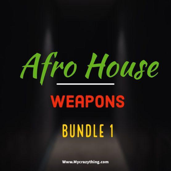 Afro House Weapons BUNDLE 1
