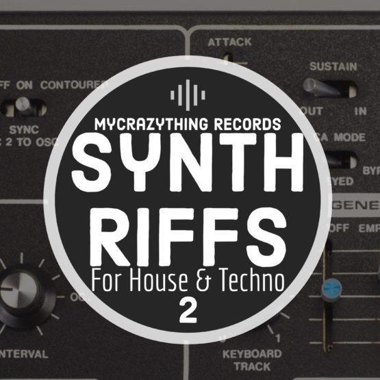 Synth Riffs for House & Techno 2