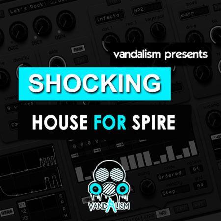 Shocking House For Spire