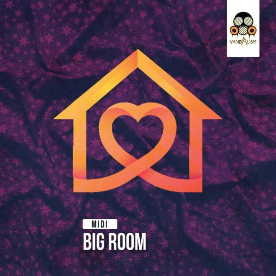 MIDI: Big Room