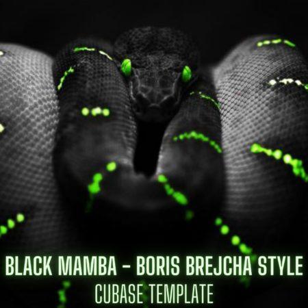 Black Mamba - Boris Brejcha Style Cubase Template