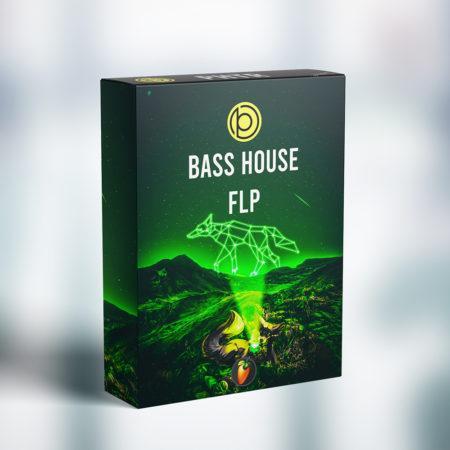 Bass House FL Studio Template 1