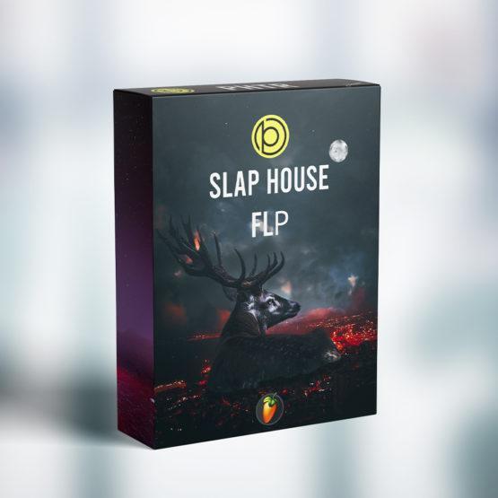 Slap House FL Studio Template 2
