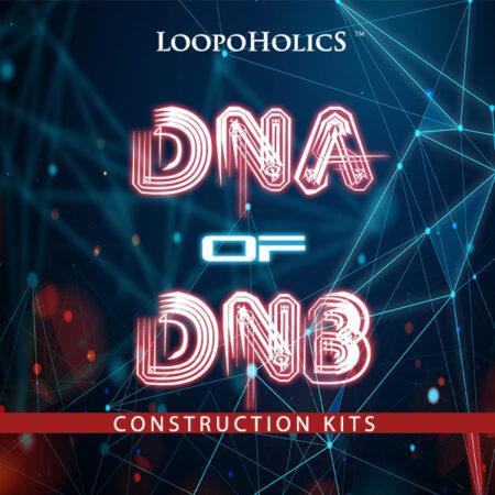 Dna of DnB: Construction Kits