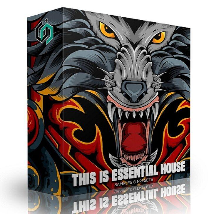 This Is Essential House